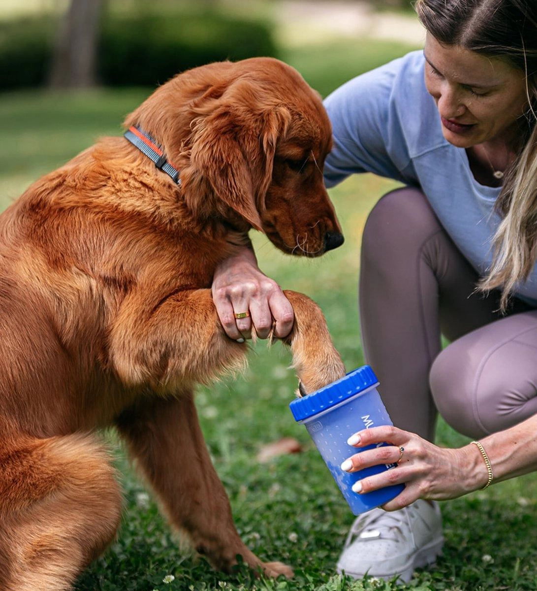 Dexas MudBuster Portable Dog Paw Cleaner