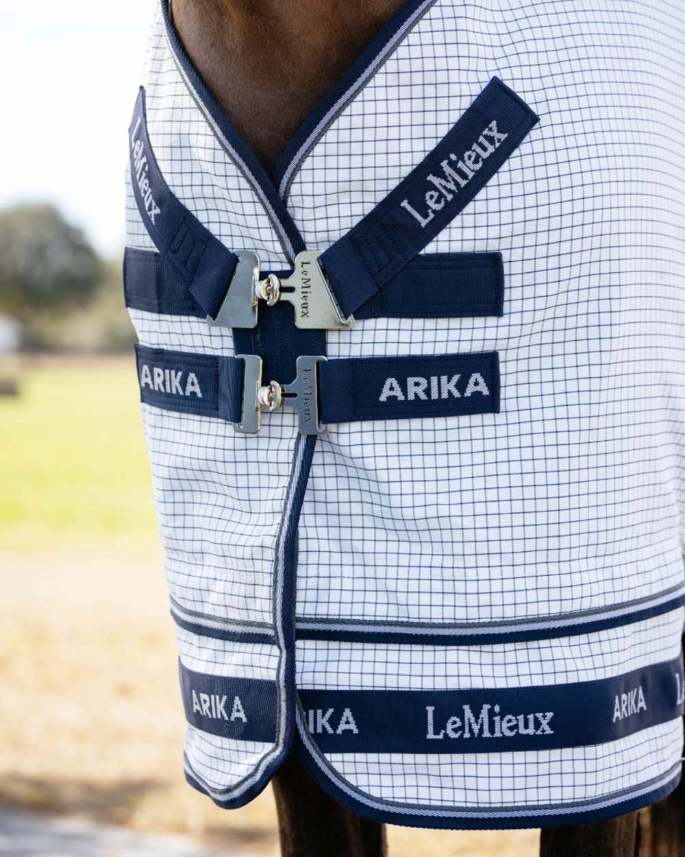 LeMieux Arika Field Rug