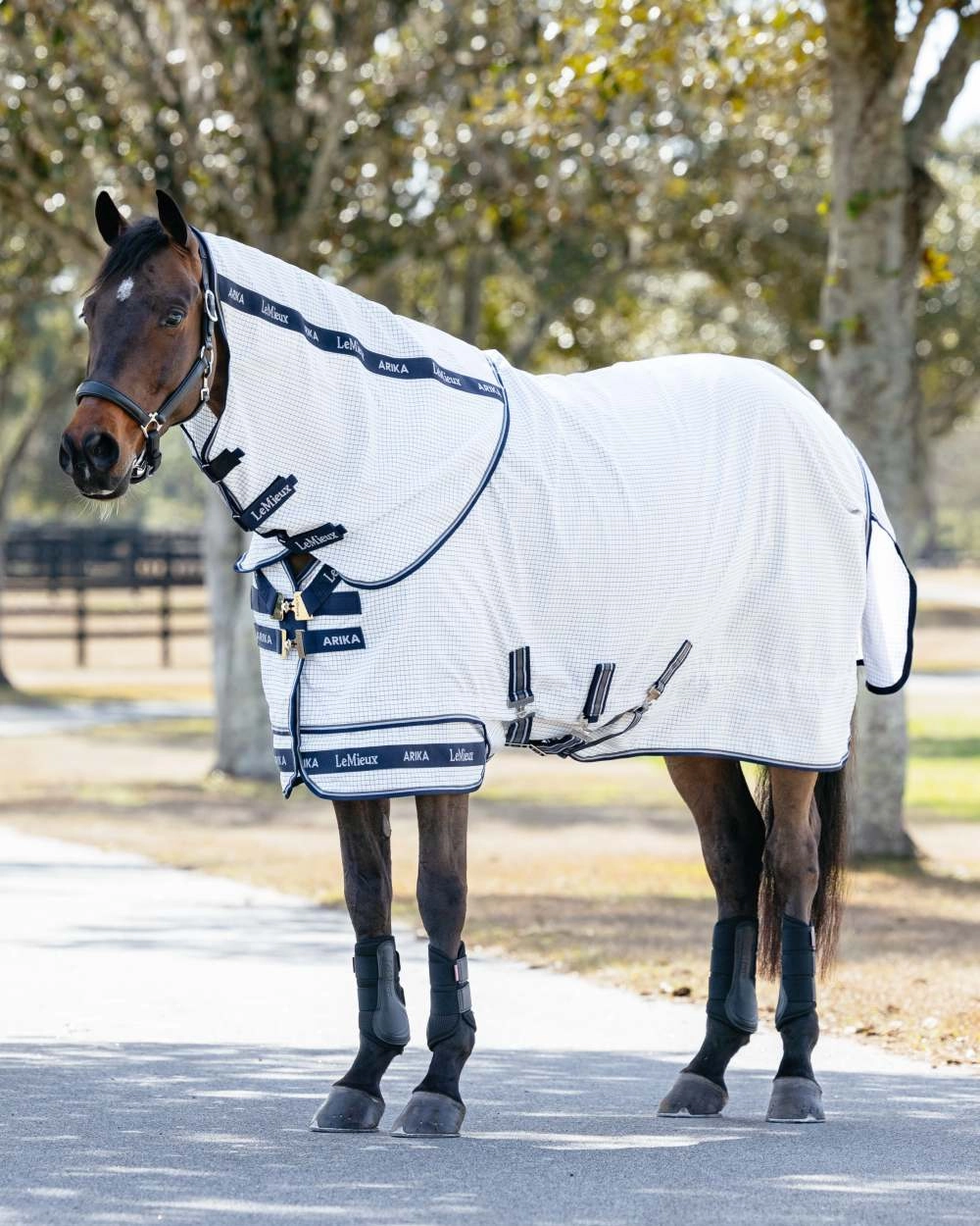 LeMieux Arika Field Rug