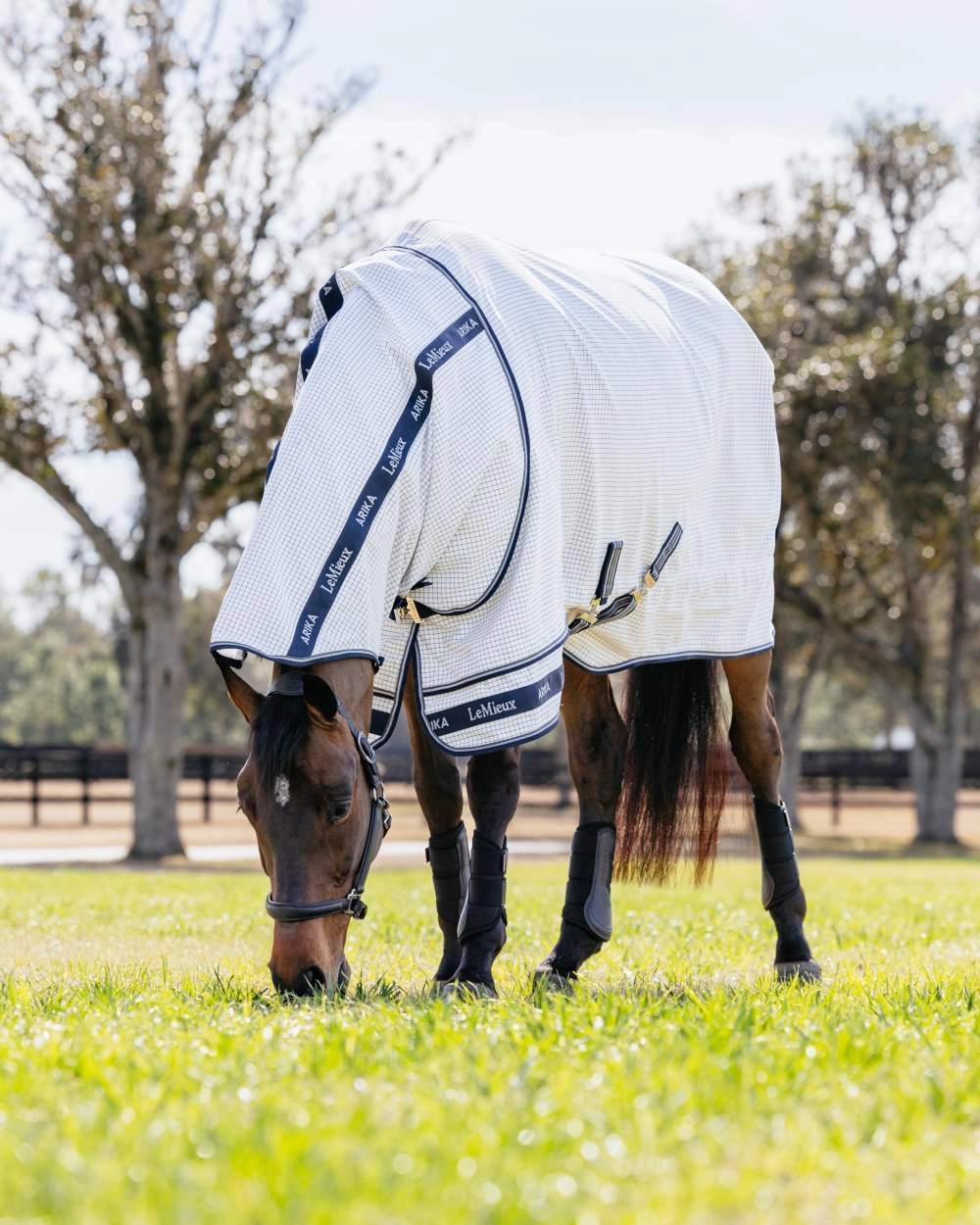 LeMieux Arika Field Rug
