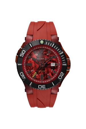 Red Abalone