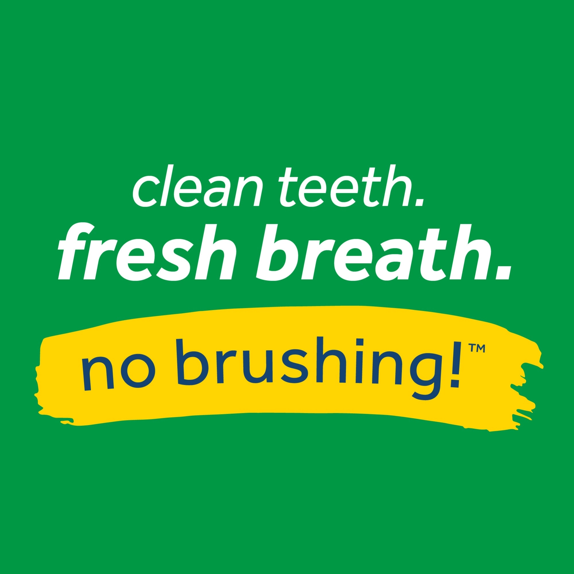 TropiClean Fresh Breath Mint Foam for Pets, 4.5oz