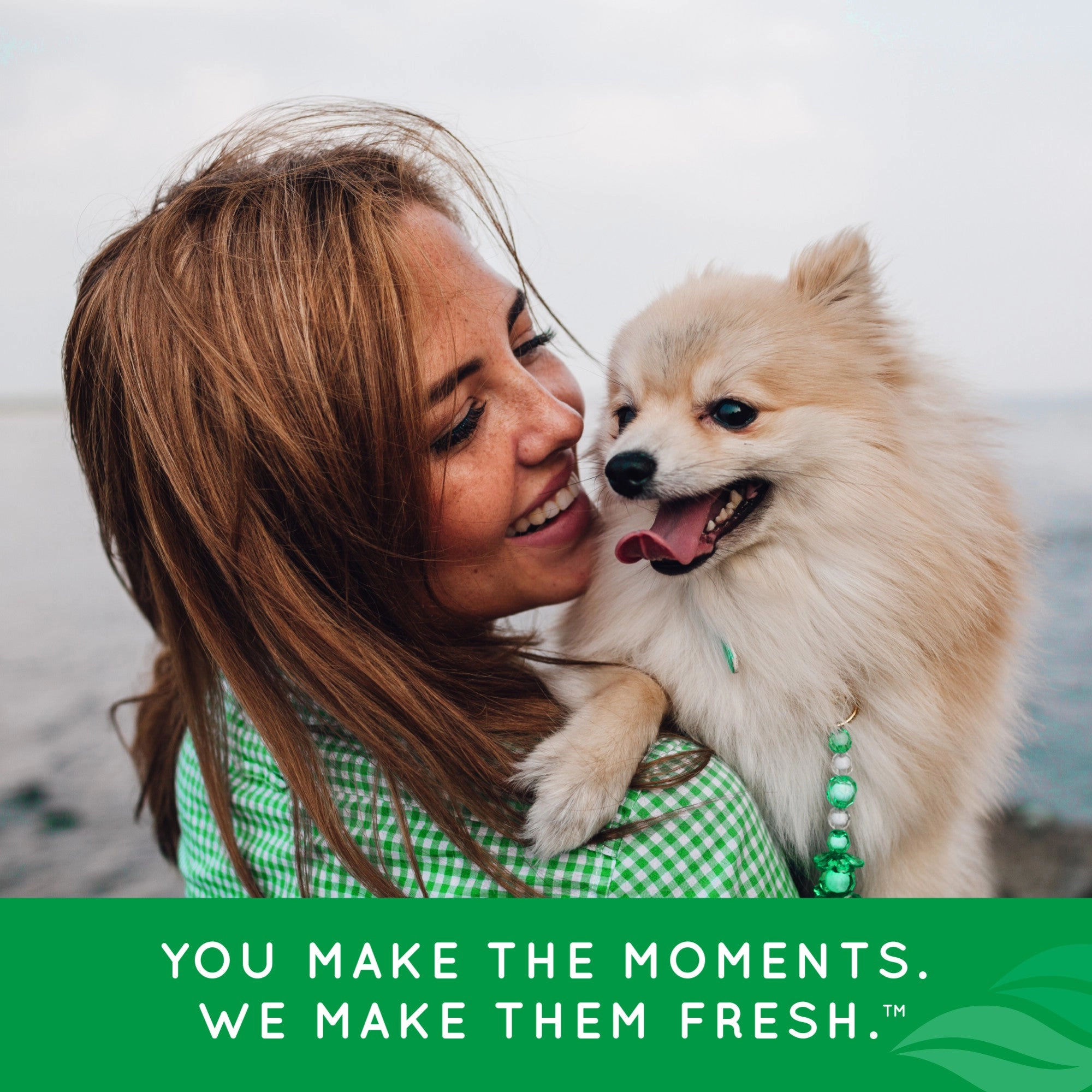 TropiClean Fresh Breath Mint Foam for Pets, 4.5oz