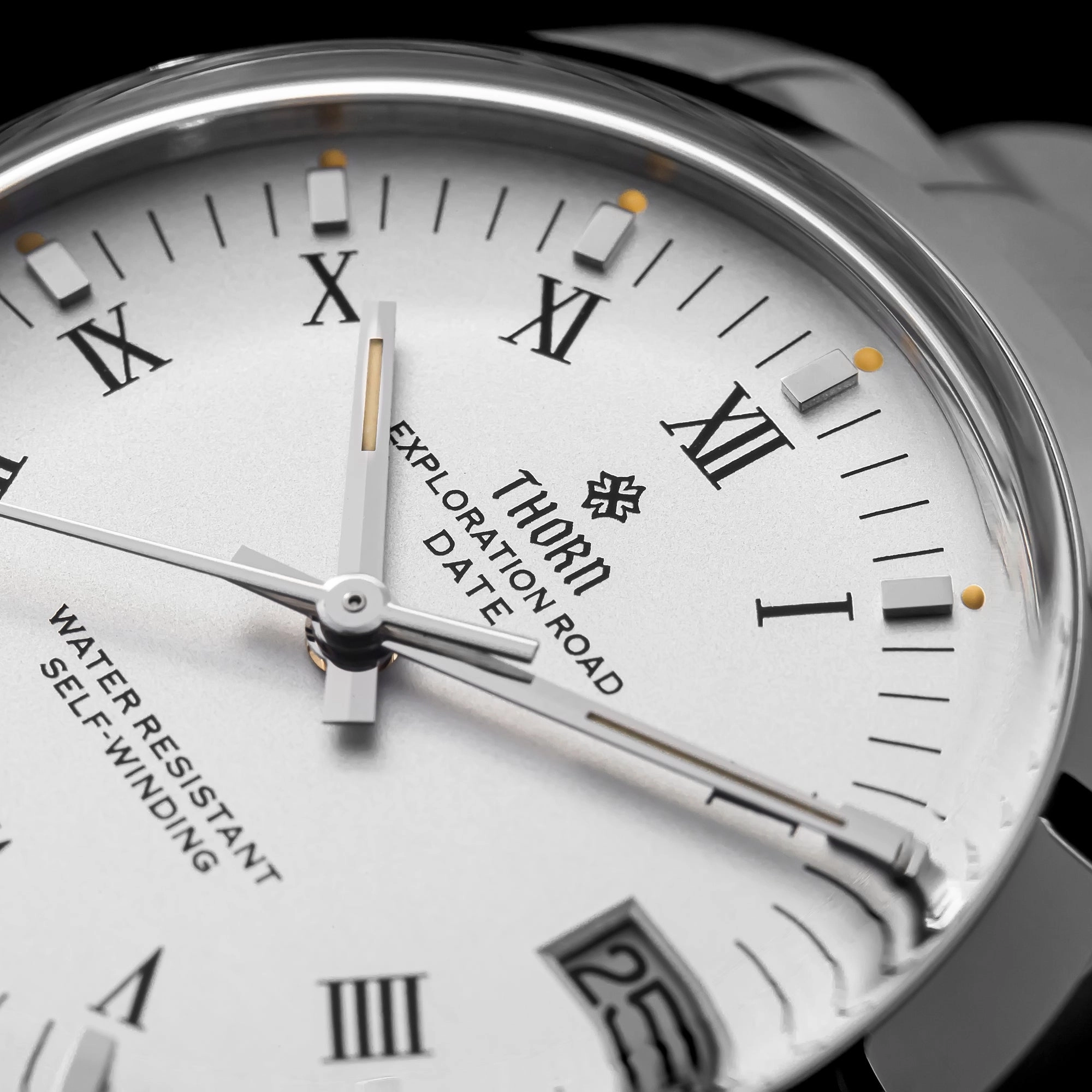 ★WeeklyDeal★Thorn 34mm PT5000 Retro Mechanical Watch T004