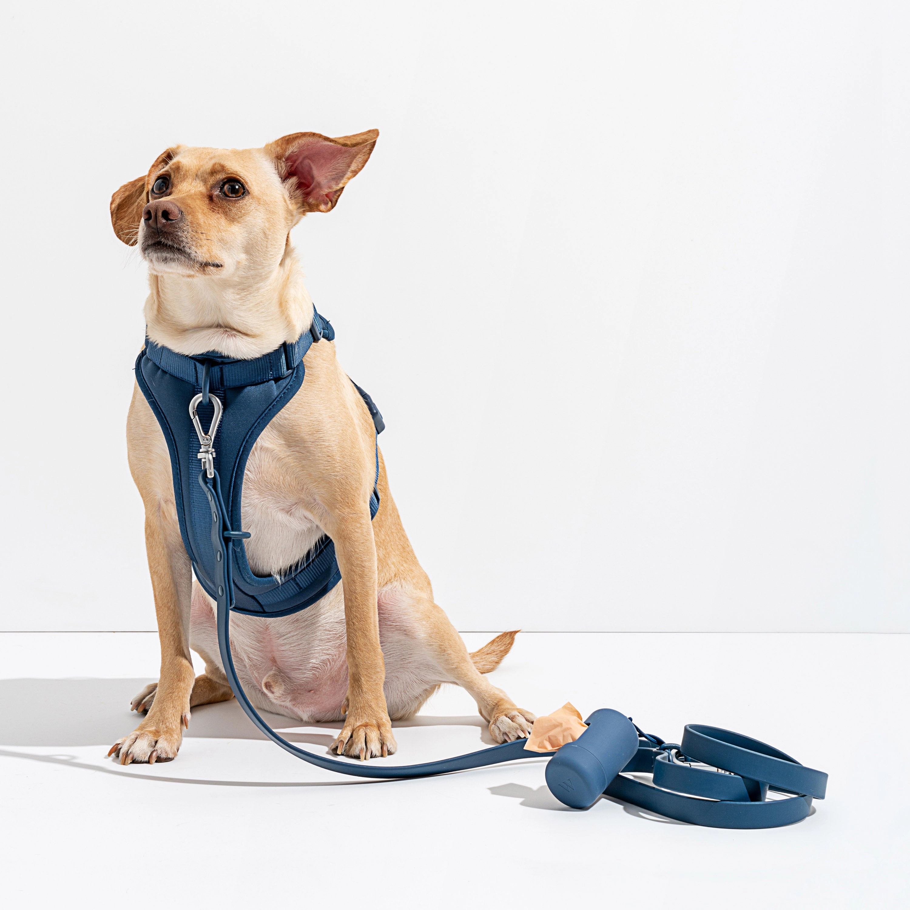 Wild One Poop Bag Carrier - Blue